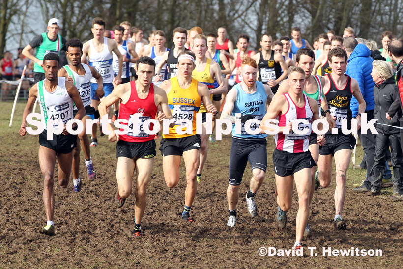 Senior men, 2020 British Athletics Inter Counties Cross Country Champs., Prestwold Hall, Loughborough. Photo: David T. Hewitson/Sports for All Pics